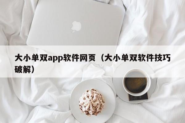 大小单双app软件网页(大小单双软件技巧破解)