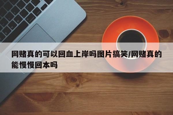网赌真的可以回血上岸吗图片搞笑/网赌真的能慢慢回本吗