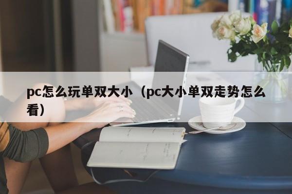 pc怎么玩单双大小(pc大小单双走势怎么看)