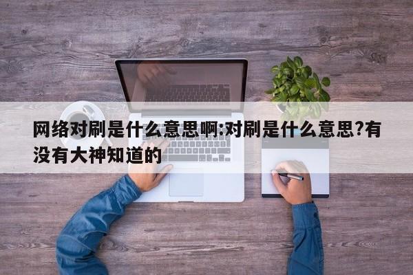 网络对刷是什么意思啊:对刷是什么意思?有没有大神知道的