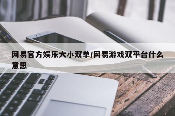 网易官方娱乐大小双单/网易游戏双平台什么意思