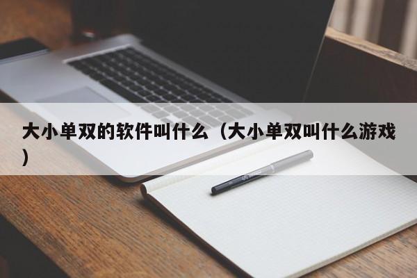 大小单双的软件叫什么(大小单双叫什么游戏)