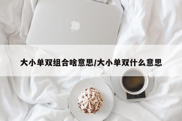 大小单双组合啥意思/大小单双什么意思