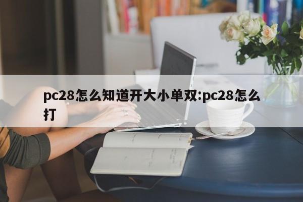 pc28怎么知道开大小单双:pc28怎么打