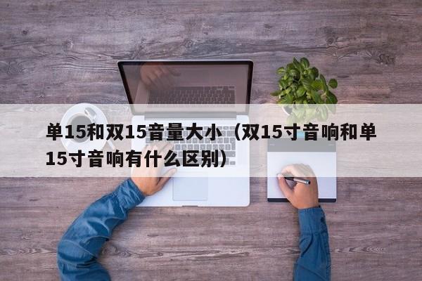 单15和双15音量大小(双15寸音响和单15寸音响有什么区别)