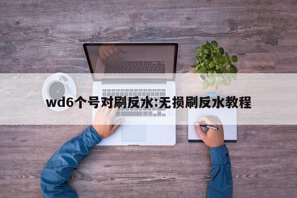 wd6个号对刷反水:无损刷反水教程